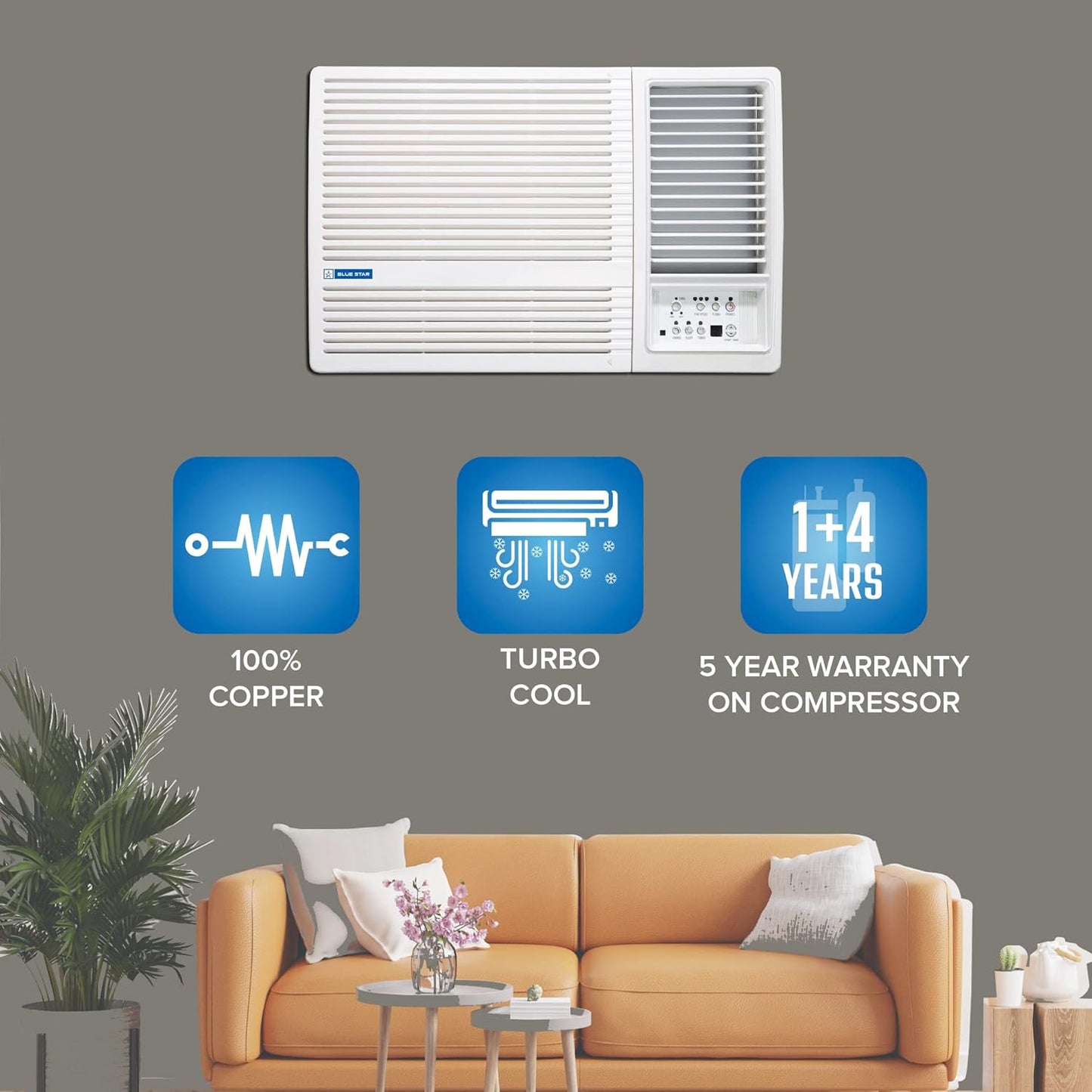 Blue Star 2 Ton 3 Star Fixed Speed Window AC
